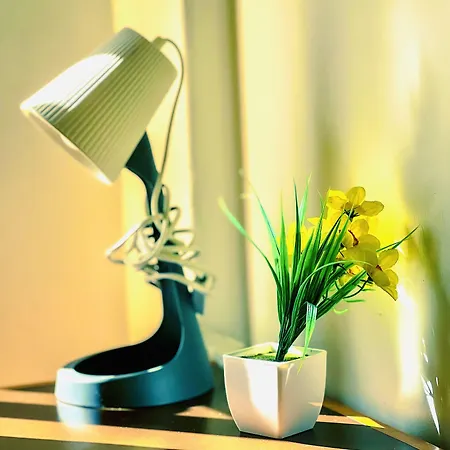 Fortune Лиссабон